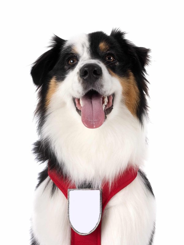 Comment personnaliser une veste en jean pour un look unique et tendance?